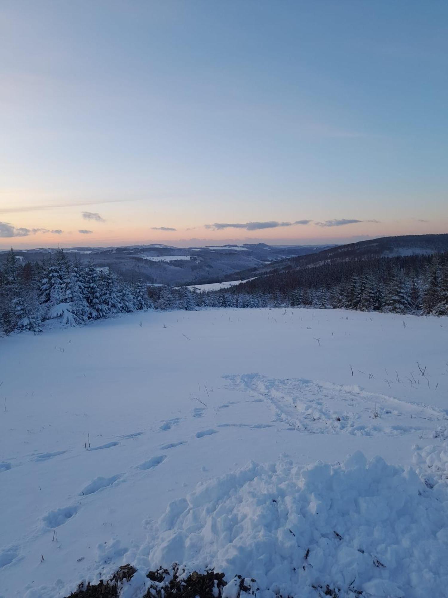 Haus Konthe, Appartement Winterberg Eksteriør bilde