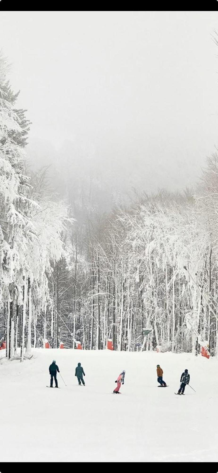 Haus Konthe, Appartement Winterberg Eksteriør bilde